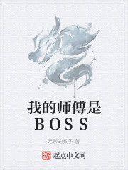 我的师傅是BOSS