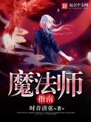 魔法师指南